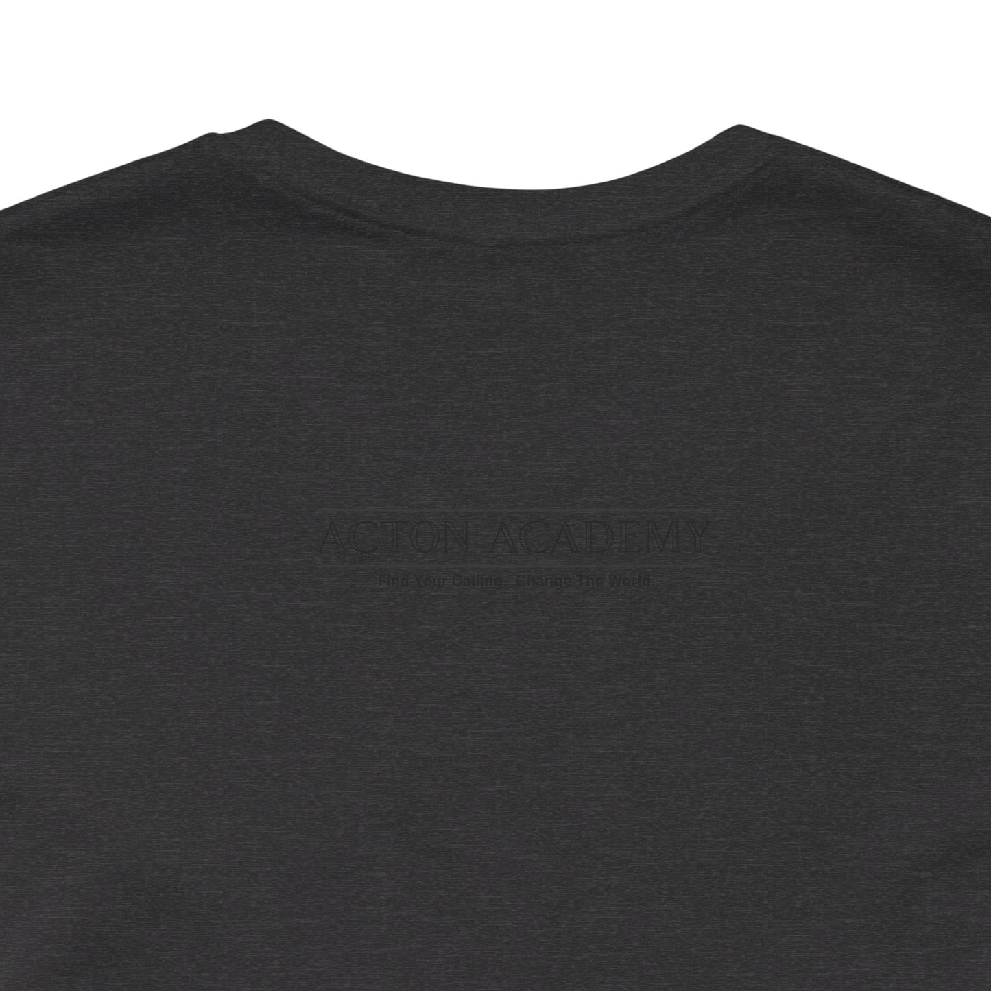 Acton Academy Pink Striped Unisex Jersey Short Sleeve Tee