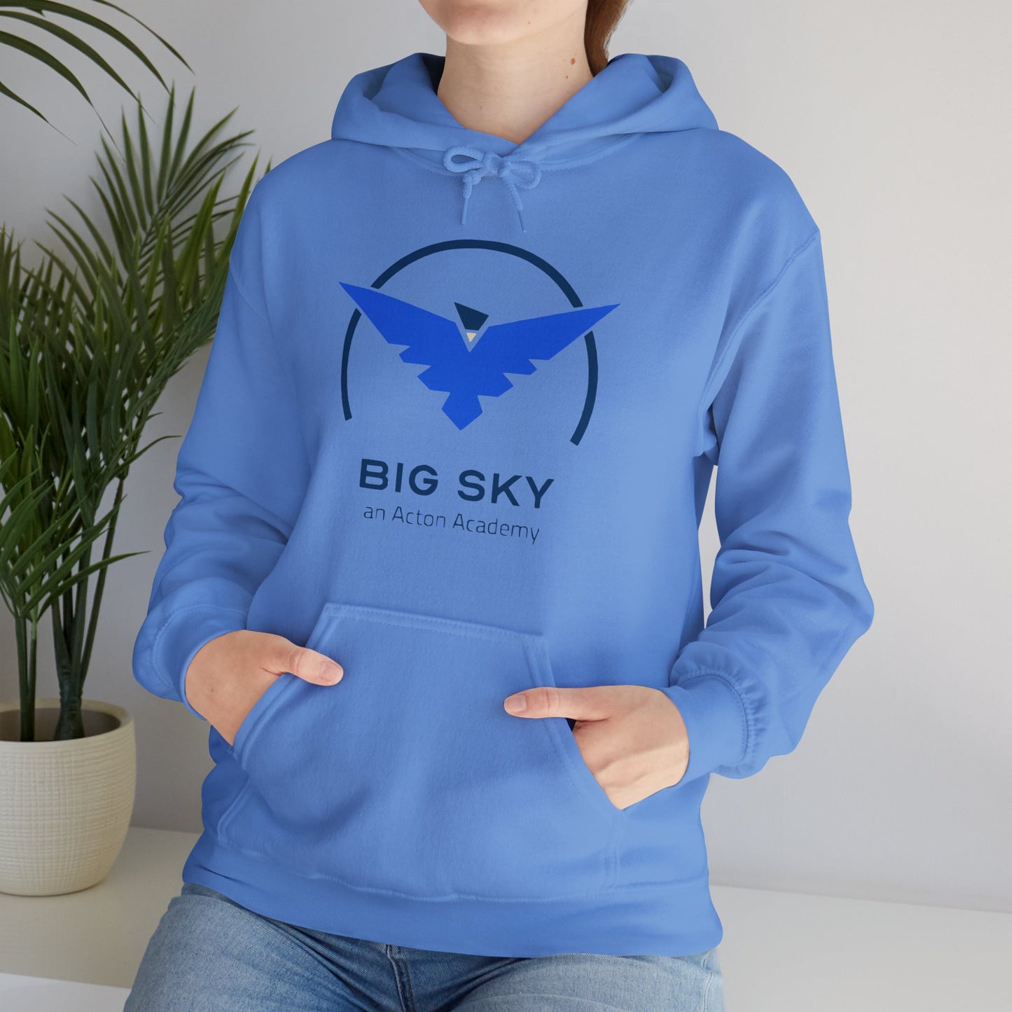 Big Sky Unisex Heavy Blend™ Hooded Sweatshirt