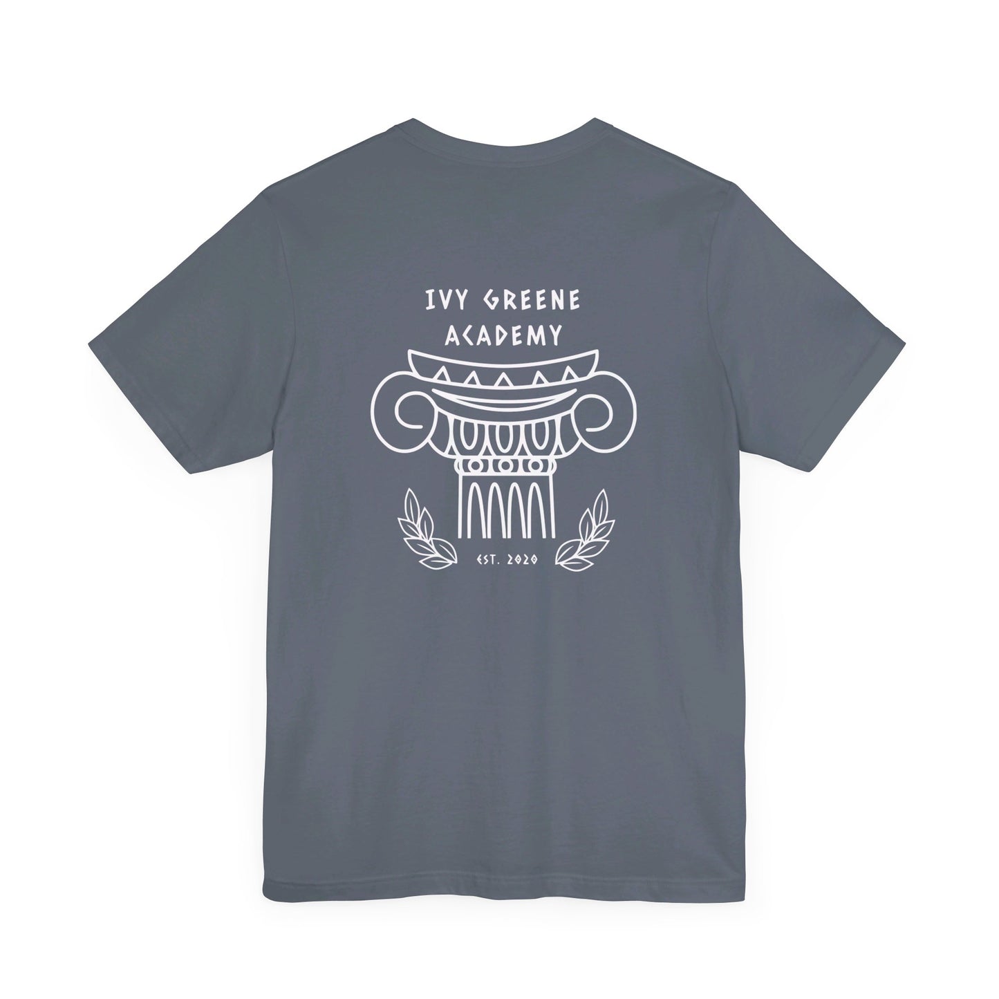 Acton Academy Aqua Striped with Ivy Greene on back Unisex Jersey Short Sleeve Tee