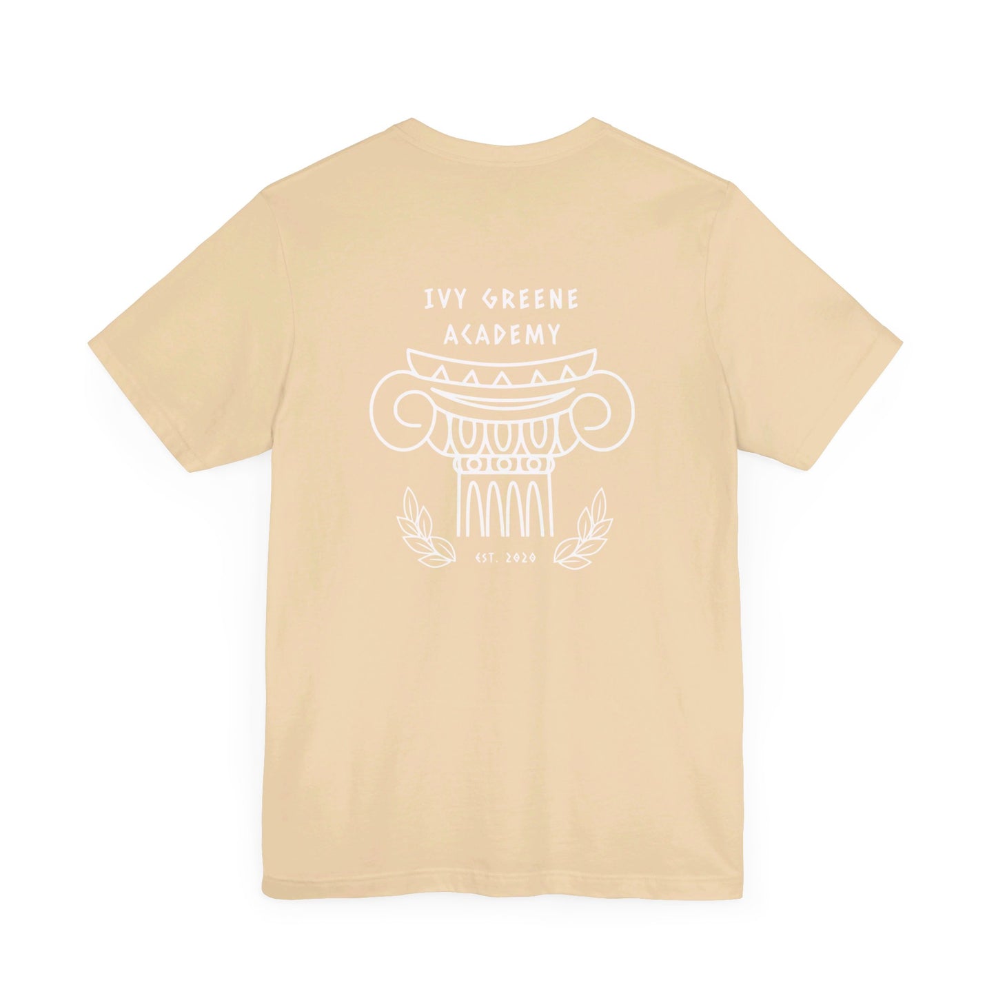 Acton Academy Aqua Striped with Ivy Greene on back Unisex Jersey Short Sleeve Tee