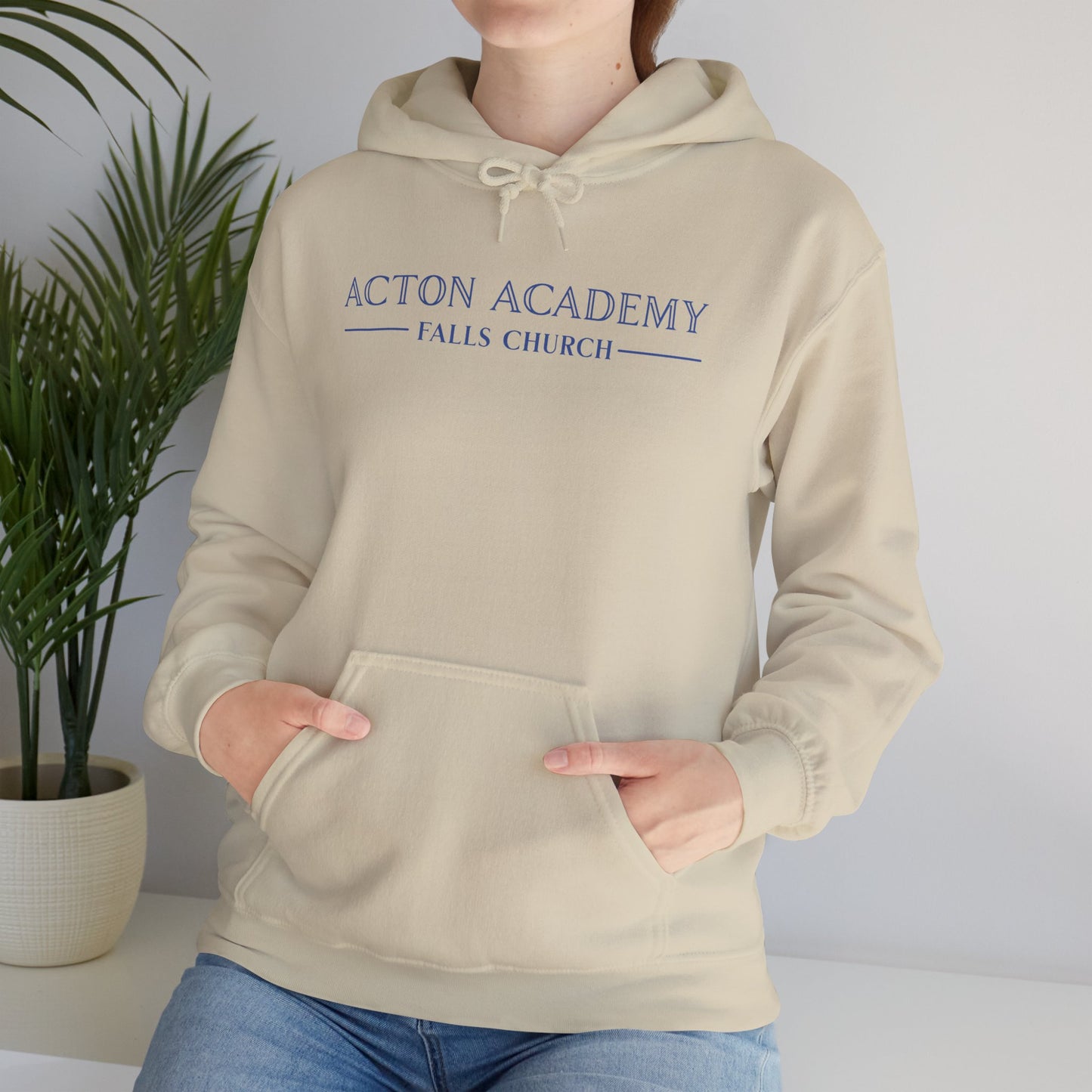 Acton Academy Falls Church Unisex Hoodie