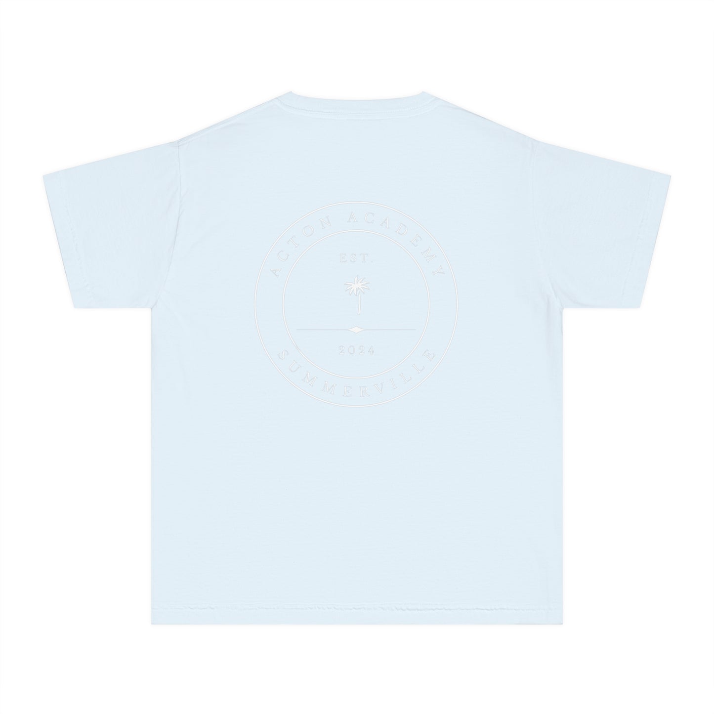 Be Curious Box with Acton Academy Summerville on back Youth Midweight Tee