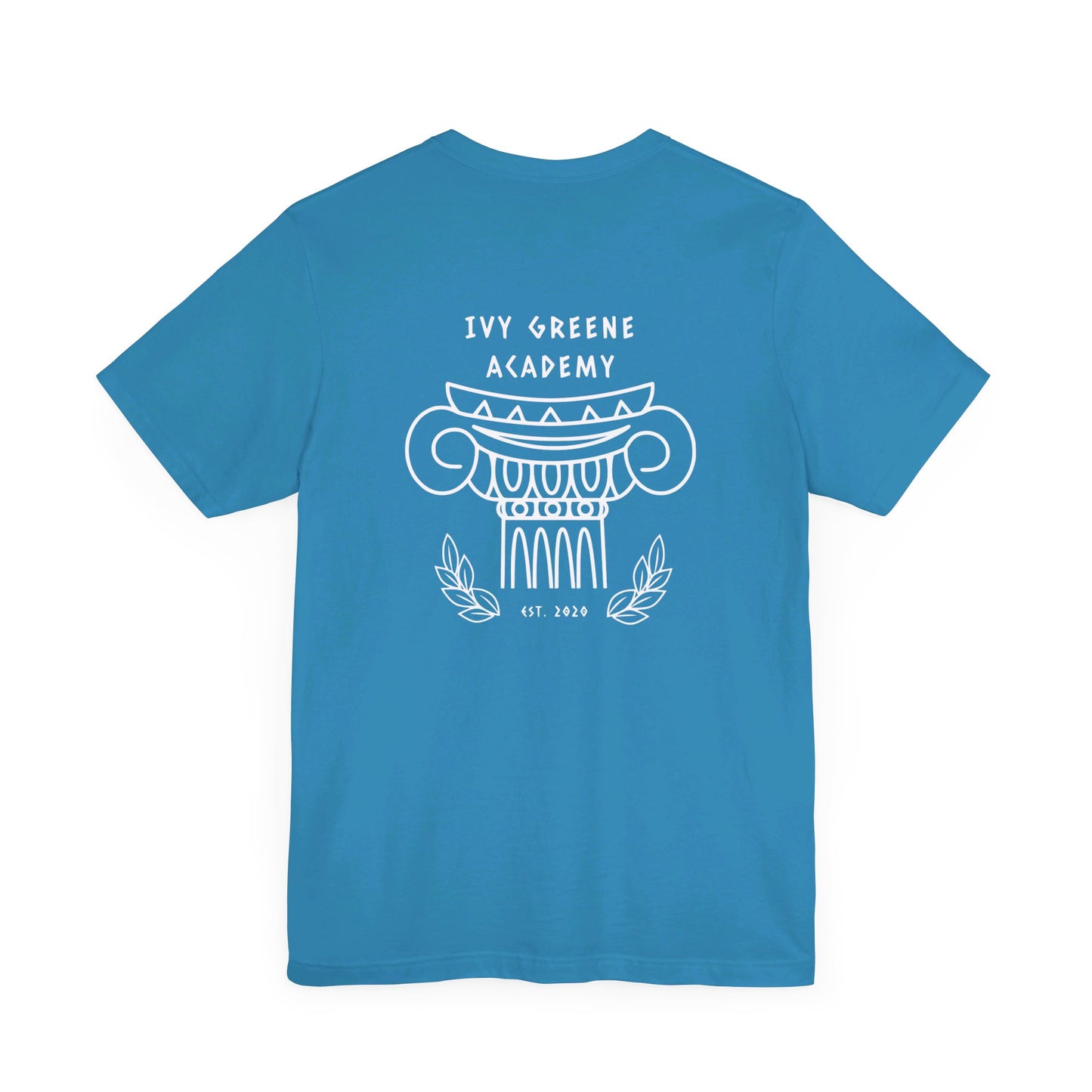 Acton Academy Aqua Striped with Ivy Greene on back Unisex Jersey Short Sleeve Tee