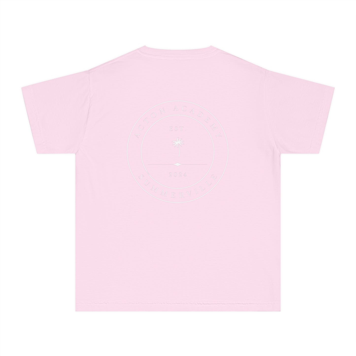 Be Curious Box with Acton Academy Summerville on back Youth Midweight Tee