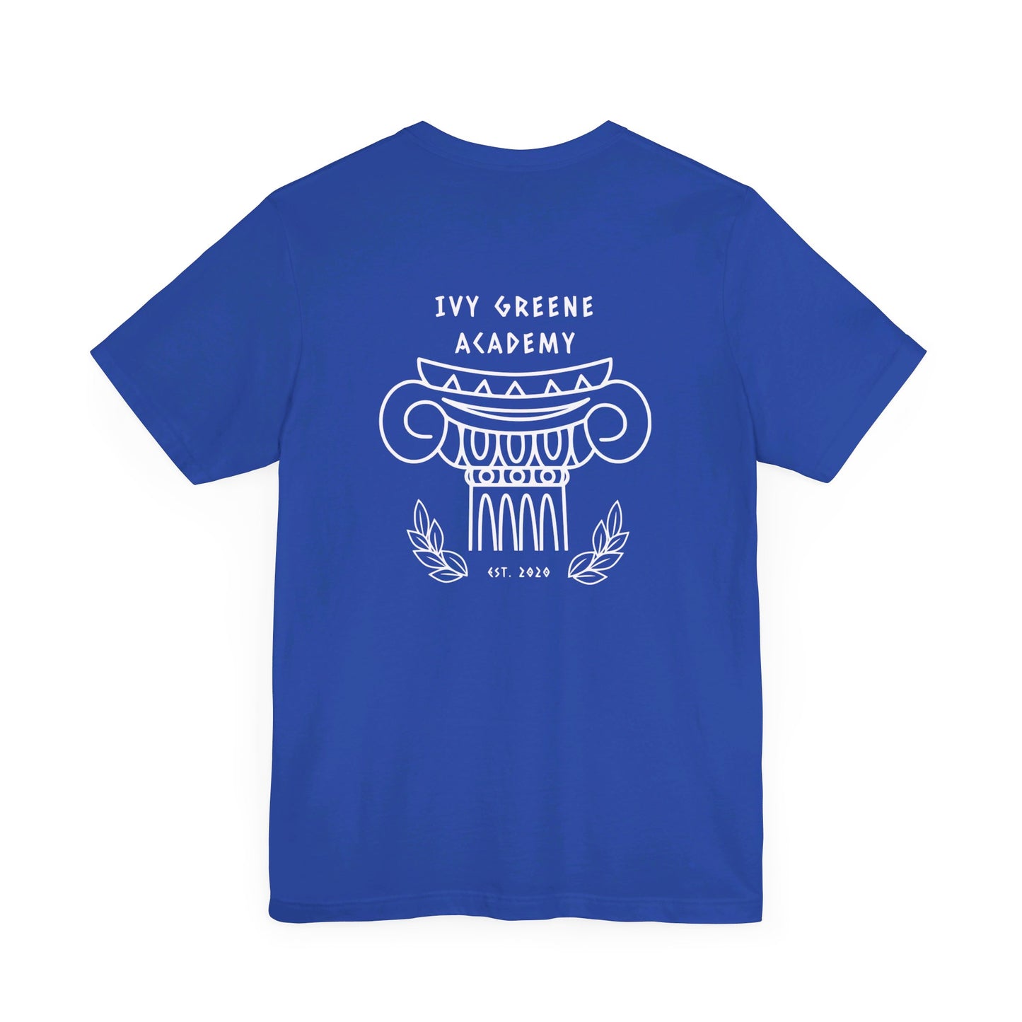 Acton Academy Aqua Striped with Ivy Greene on back Unisex Jersey Short Sleeve Tee