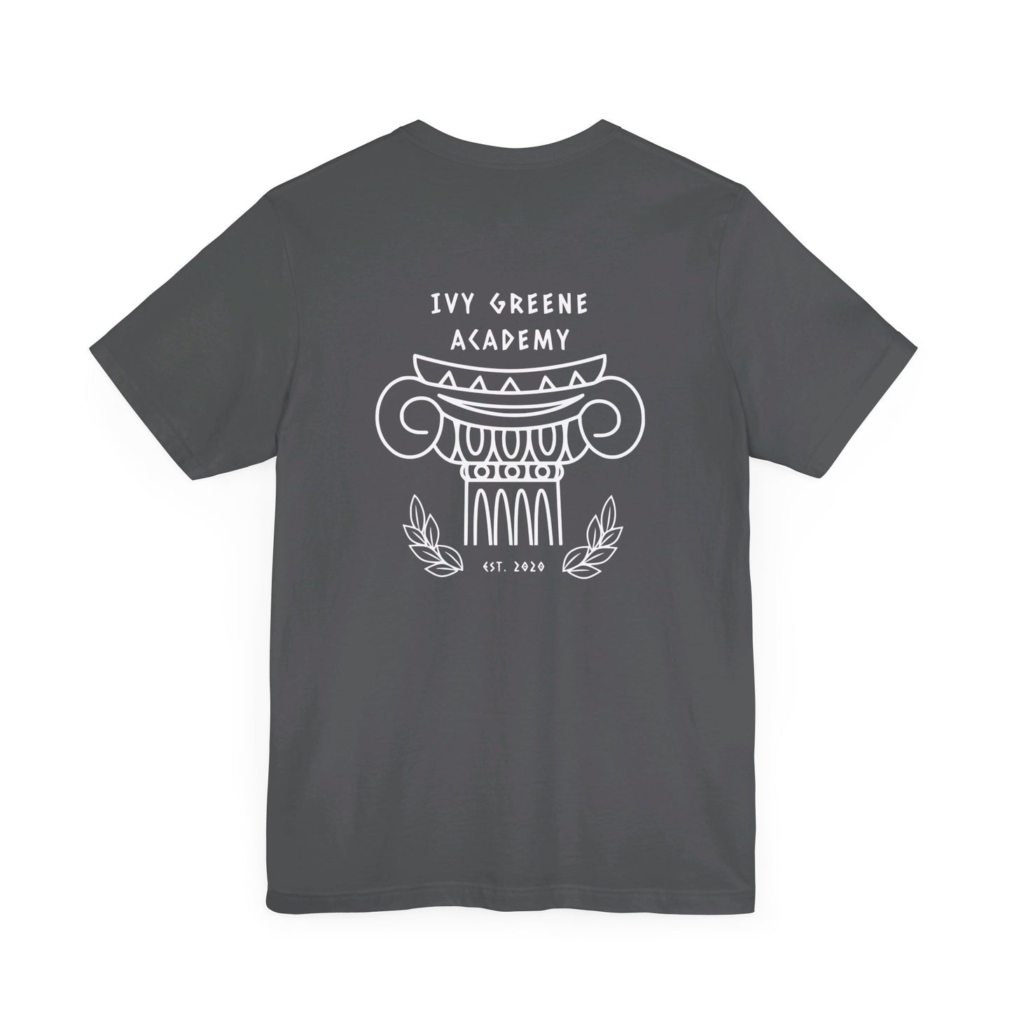 Acton Academy Aqua Striped with Ivy Greene on back Unisex Jersey Short Sleeve Tee