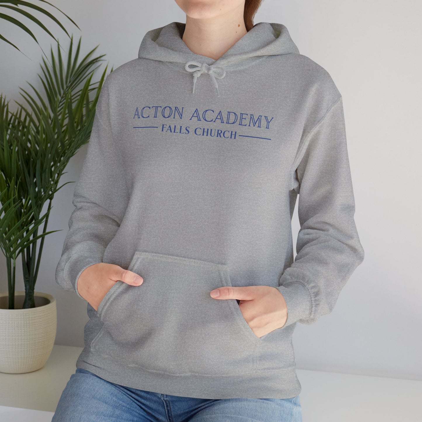 Acton Academy Falls Church Unisex Hoodie