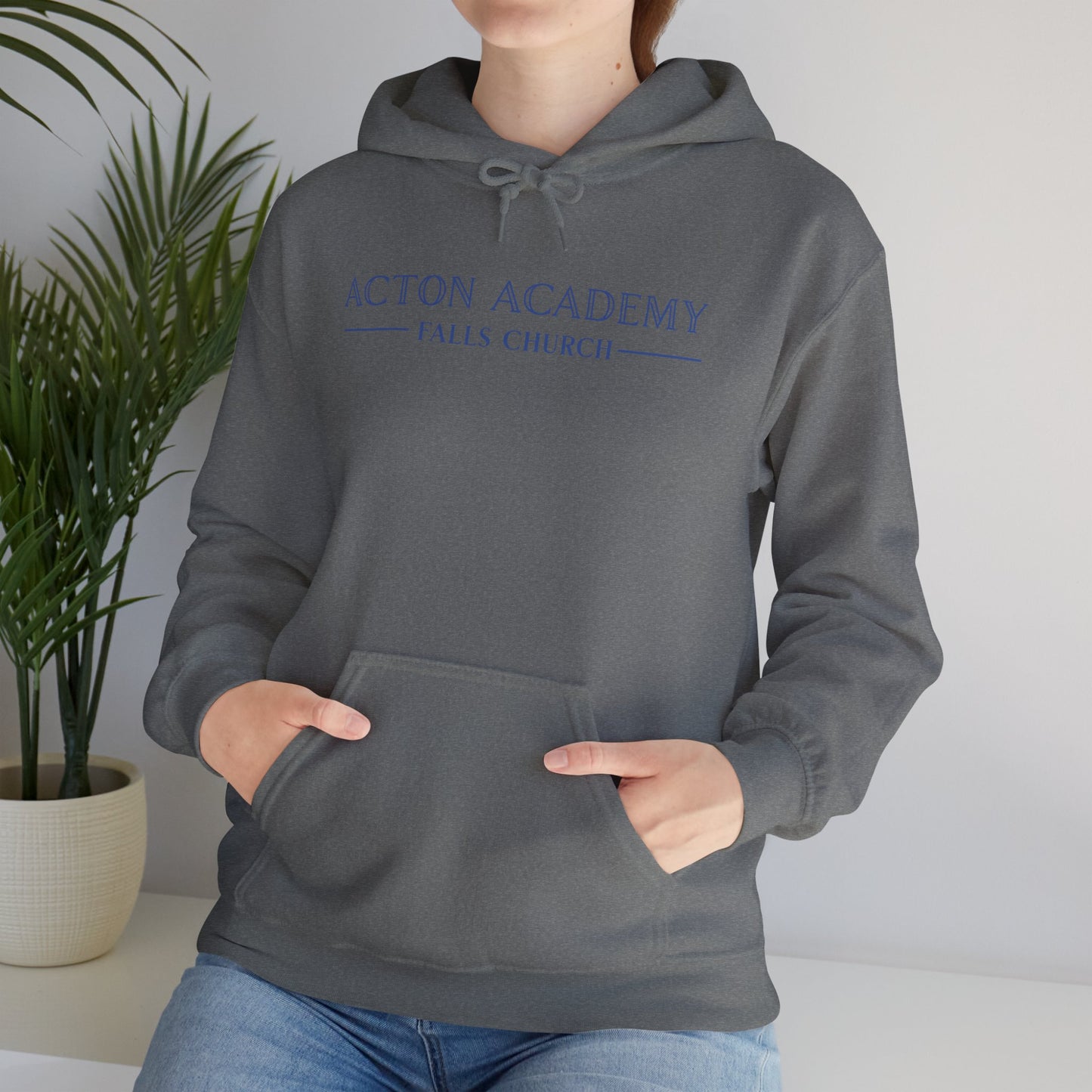 Acton Academy Falls Church Unisex Hoodie