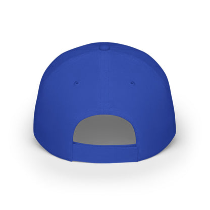 Acton Academy Falls Church Cool Low Profile Baseball Cap