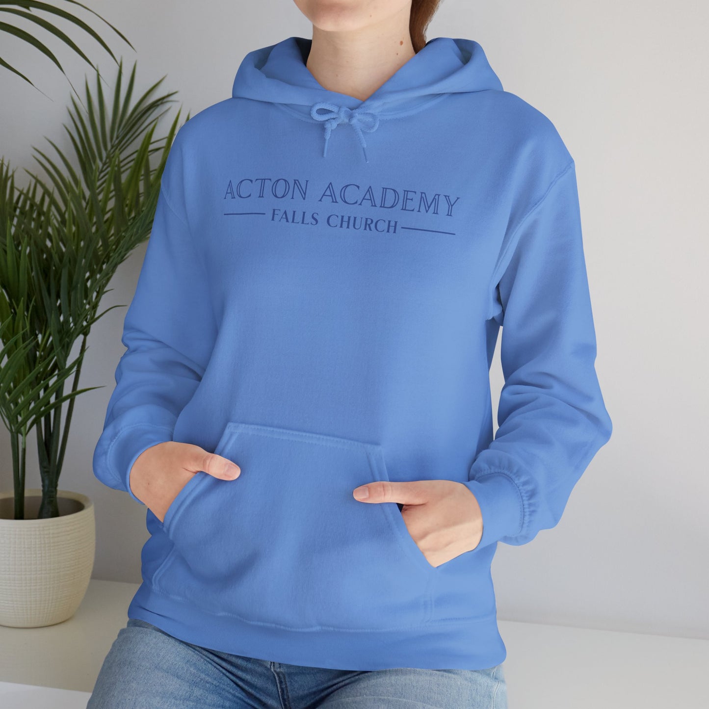 Acton Academy Falls Church Unisex Hoodie